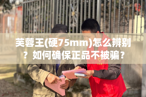芙蓉王(硬75mm)怎么辨别？如何确保正品不被骗？